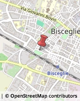 Modelli e Plastici Bisceglie,76011Barletta-Andria-Trani