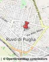 Borse - Dettaglio Ruvo di Puglia,70037Bari