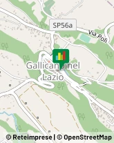 Agenzie Immobiliari Gallicano nel Lazio,00010Roma