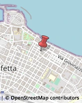 Conserve Molfetta,70056Bari