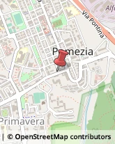 Ferramenta - Ingrosso Pomezia,00040Roma