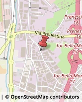 Giornali, Riviste e Libri - Distribuzione Roma,00155Roma