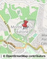 Gioiellerie e Oreficerie - Dettaglio Monte Porzio Catone,00040Roma