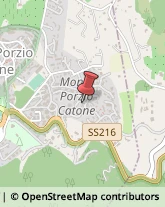 Palestre e Centri Fitness Monte Porzio Catone,00078Roma