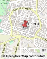 Librerie Lucera,71036Foggia