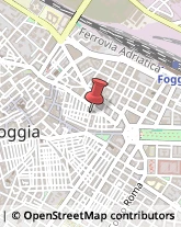 Piante e Fiori - Ingrosso Foggia,71121Foggia