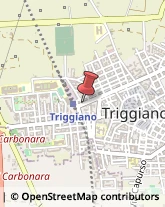 Designers - Studi Triggiano,70019Bari