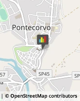 Corpo Forestale Pontecorvo,03037Frosinone