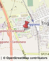 Impianti Antifurto e Sistemi di Sicurezza Triggiano,70019Bari