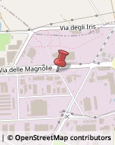 Macchine Tessili Modugno,70026Bari