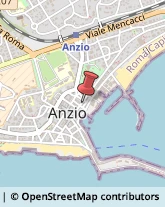 Spezie Anzio,00042Roma