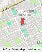 Via di Macchia Saponara, 59,00125Roma