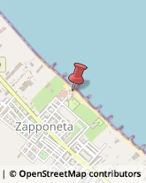 Artigianato Tipico Zapponeta,71030Foggia