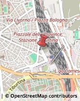 Giornali, Riviste e Libri - Distribuzione Roma,00162Roma