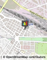 Studi - Geologia, Geotecnica e Topografia Foggia,71100Foggia