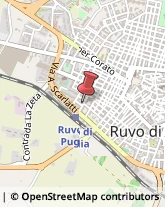 Agenti e Rappresentanti di Commercio Ruvo di Puglia,70037Bari