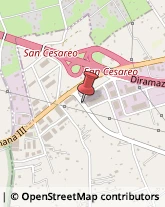 Dolci - Ingrosso San Cesareo,00030Roma