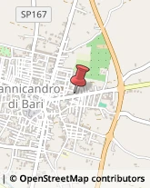 Gomma Articoli - Dettaglio Sannicandro di Bari,70028Bari