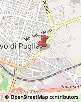 Frutta Secca Ruvo di Puglia,70037Bari