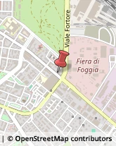 Imprese di Pulizia Foggia,71121Foggia