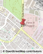 Motocarri e Motocicli - Produzione Foggia,71121Foggia