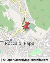 Piante e Fiori - Dettaglio Rocca di Papa,00040Roma