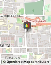 ,81100Caserta