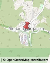 Abbigliamento Rignano Garganico,71010Foggia