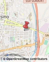Piante e Fiori - Dettaglio Cassino,03043Frosinone