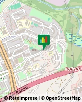 Consulenza Informatica,00155Roma