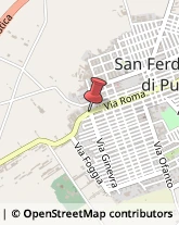 Pasticcerie - Dettaglio San Ferdinando di Puglia,76017Barletta-Andria-Trani