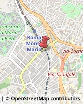 Marmitte per Motori Roma,00168Roma