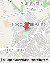 Angiologia - Medici Specialisti Cerveteri,00052Roma