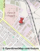 Motoseghe,71121Foggia