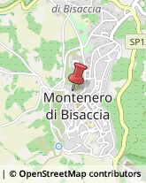 Abbigliamento Intimo e Biancheria Intima - Vendita Montenero di Bisaccia,86036Campobasso