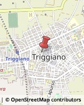 Elettrodomestici Triggiano,70019Bari