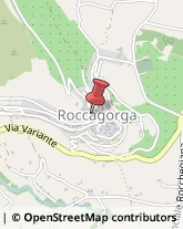 Consulenza Informatica Roccagorga,04010Latina