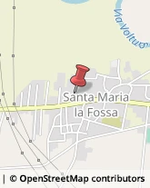 Concimi e Fertilizzanti Santa Maria la Fossa,81050Caserta