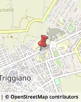 Consulenza di Direzione ed Organizzazione Aziendale Triggiano,70019Bari