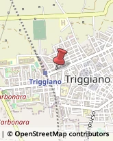 Biancheria per la casa - Dettaglio Triggiano,70019Bari