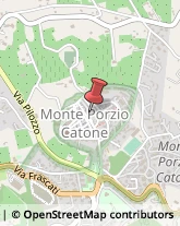 Associazioni Culturali, Artistiche e Ricreative Monte Porzio Catone,00078Roma