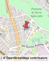 Consulenza Informatica Roma,00173Roma