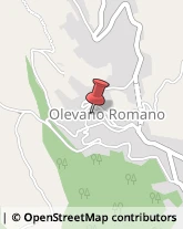 Cooperative Produzione, Lavoro e Servizi Olevano Romano,00035Roma