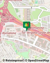 Ortopedia e Traumatologia - Medici Specialisti,00173Roma