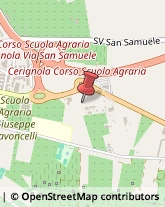 Artigianato Tipico,71042Foggia