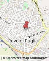 Società Immobiliari Ruvo di Puglia,70037Bari