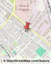 Logopedia Foggia,71122Foggia