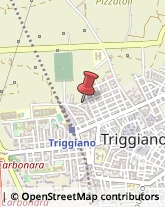 Istituti di Bellezza Triggiano,70019Bari