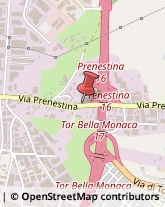 Carrelli Elevatori e Trasporto - Commercio e Noleggio Roma,00155Roma