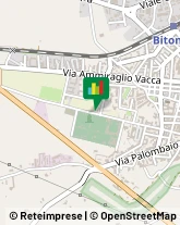 Oleifici - Macchine Bitonto,70032Bari